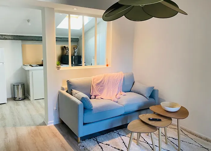 Le Hyper-centre Apartment