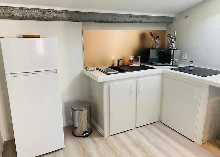 Le Hyper-centre Apartment *